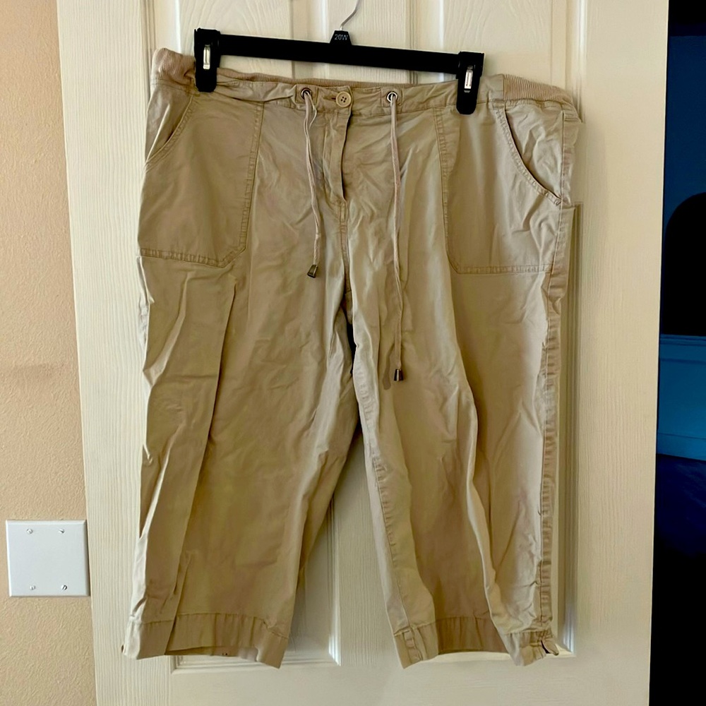 Perfect poplin tan capri 
By Avenue
Size 20